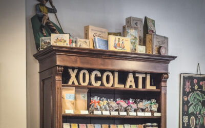 xocolatl Basel – Pressetext zum Download